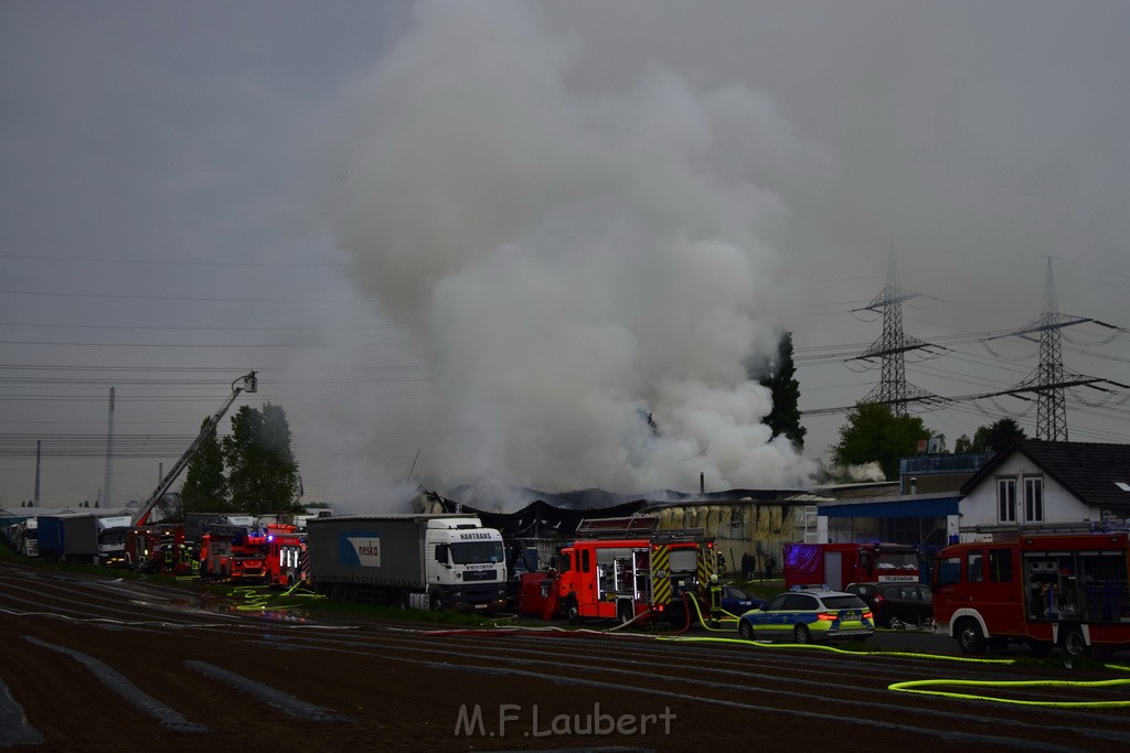 Feuer 3 Rheinkassel Feldkasseler Weg P0819.JPG - Miklos Laubert